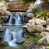 Jebel Ali Palm Tree Court Spa Hotel Picture 11