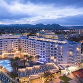 Hotel Palia Sa Coma Playa Picture 19