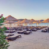 Seya Beach Hotel Picture 8