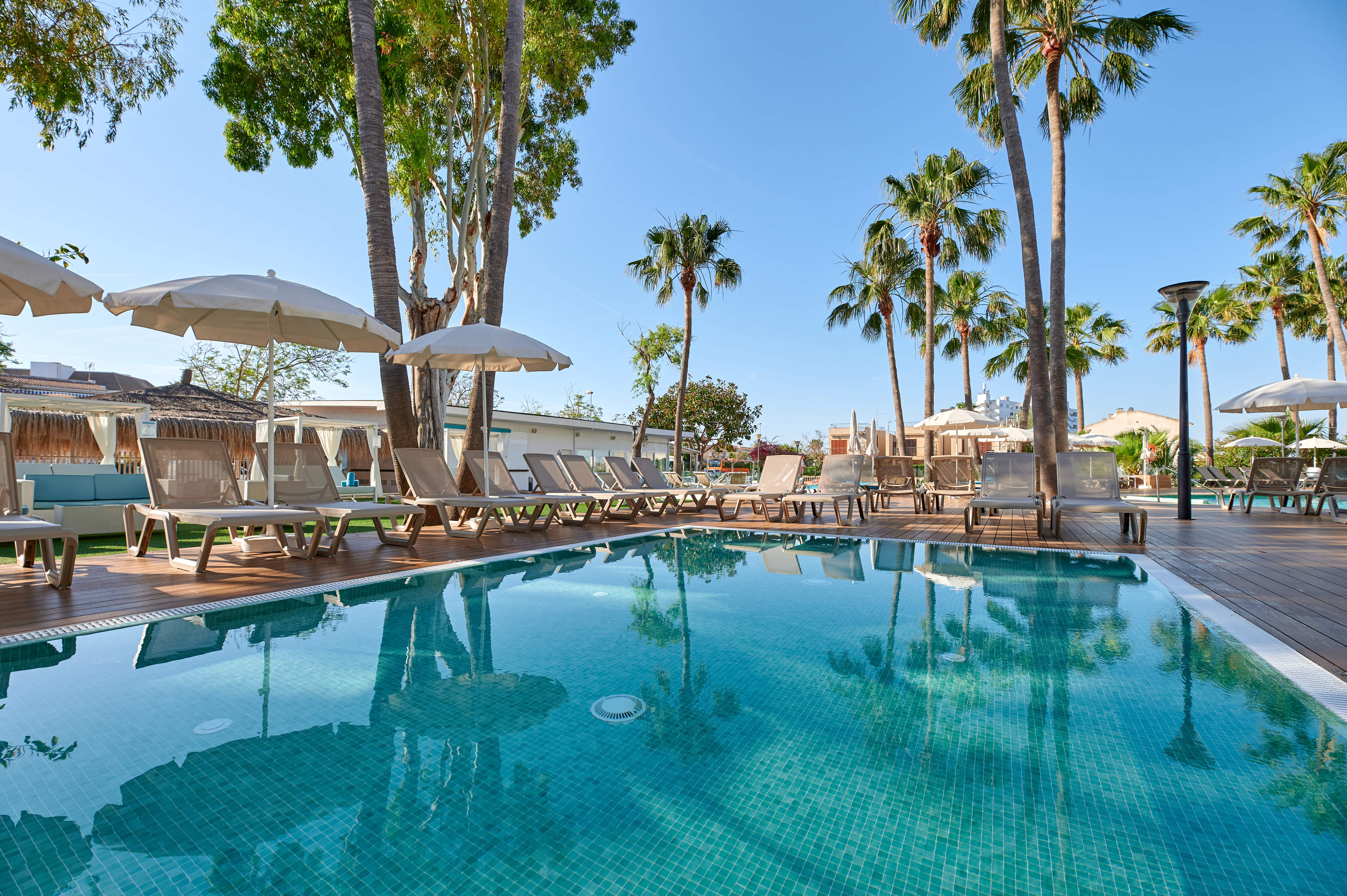 Holidays at Roc Boccaccio Hotel in Alcudia, Majorca