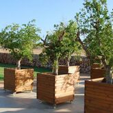 Sant Joan de Binissaida Rural Hotel Picture 18