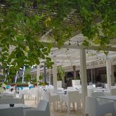 Vista Sol Punta Cana Beach Resort & Casino Picture 11