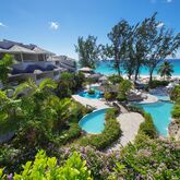 Bougainvillea Barbados Picture 3