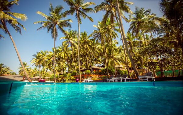 Holidays at Riva Beach Resort in Morjim, Goa