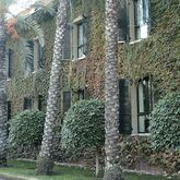 Jardin Milenio Hotel Picture 5