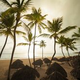 Tropical Princess Beach Resort & Spa Picture 3