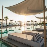 Blue Carpet Luxury Suites Picture 18