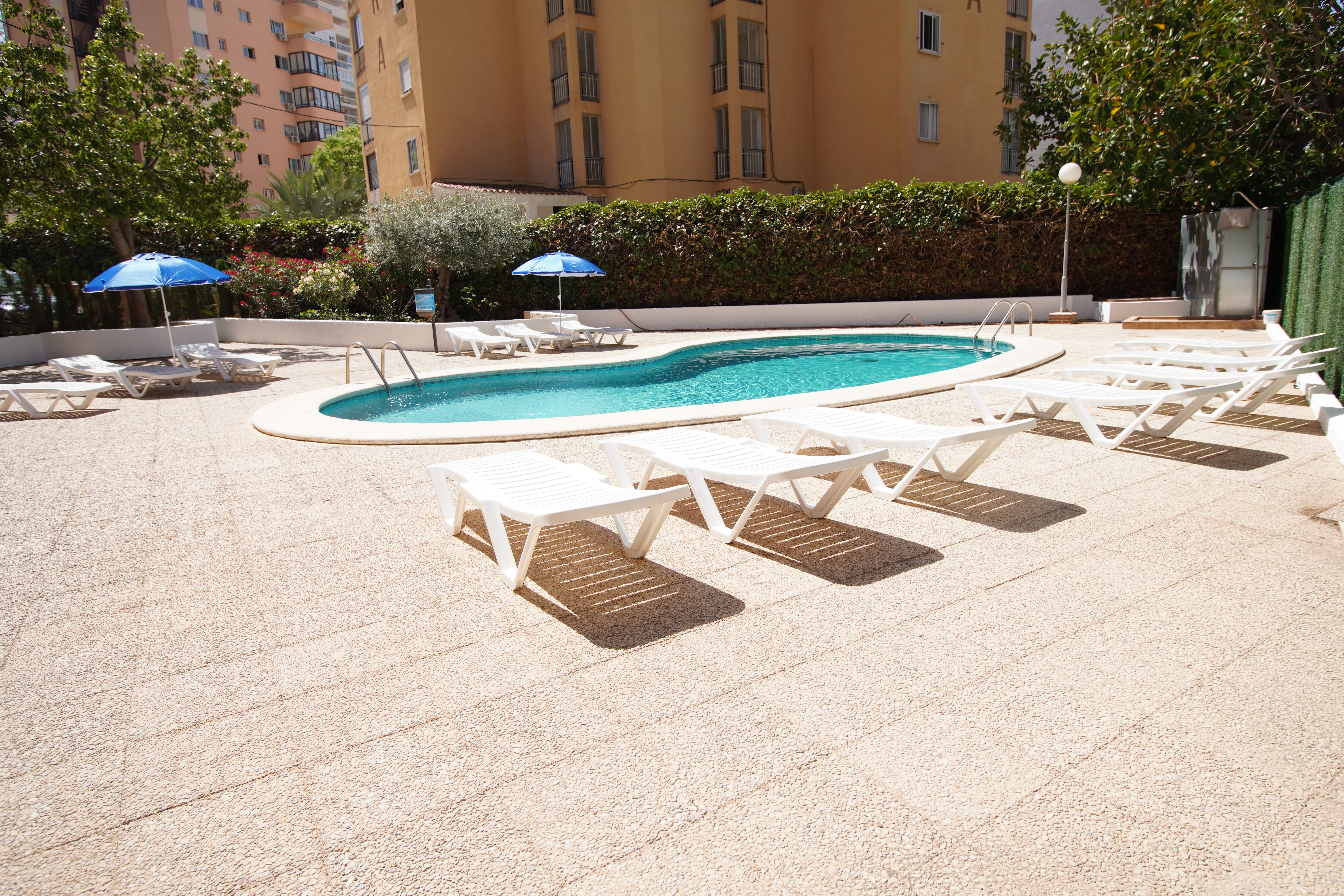 Holidays at Don Gregorio Apartments in Benidorm, Costa Blanca