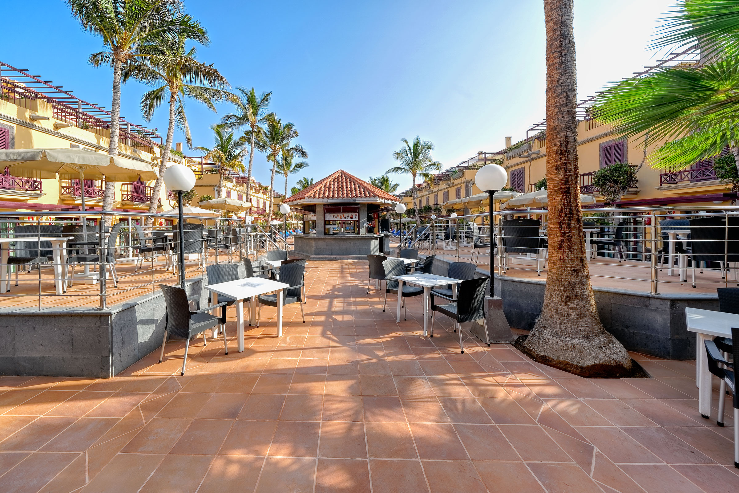 Maspalomas Oasis Club Picture 10