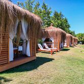 Terrace Elite Resort Hotel Picture 16
