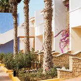 Smartline Crioula Picture 15