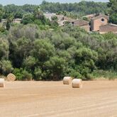 Rural Son Jorda Hotel Picture 11