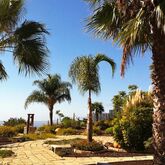 Holidays at Finca Vista Bonita Hotel in San Miguel, San Miguel de Abona