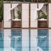 Bio Suites Hotel Picture 18