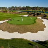 Waldorf Astoria Orlando Hotel Picture 14