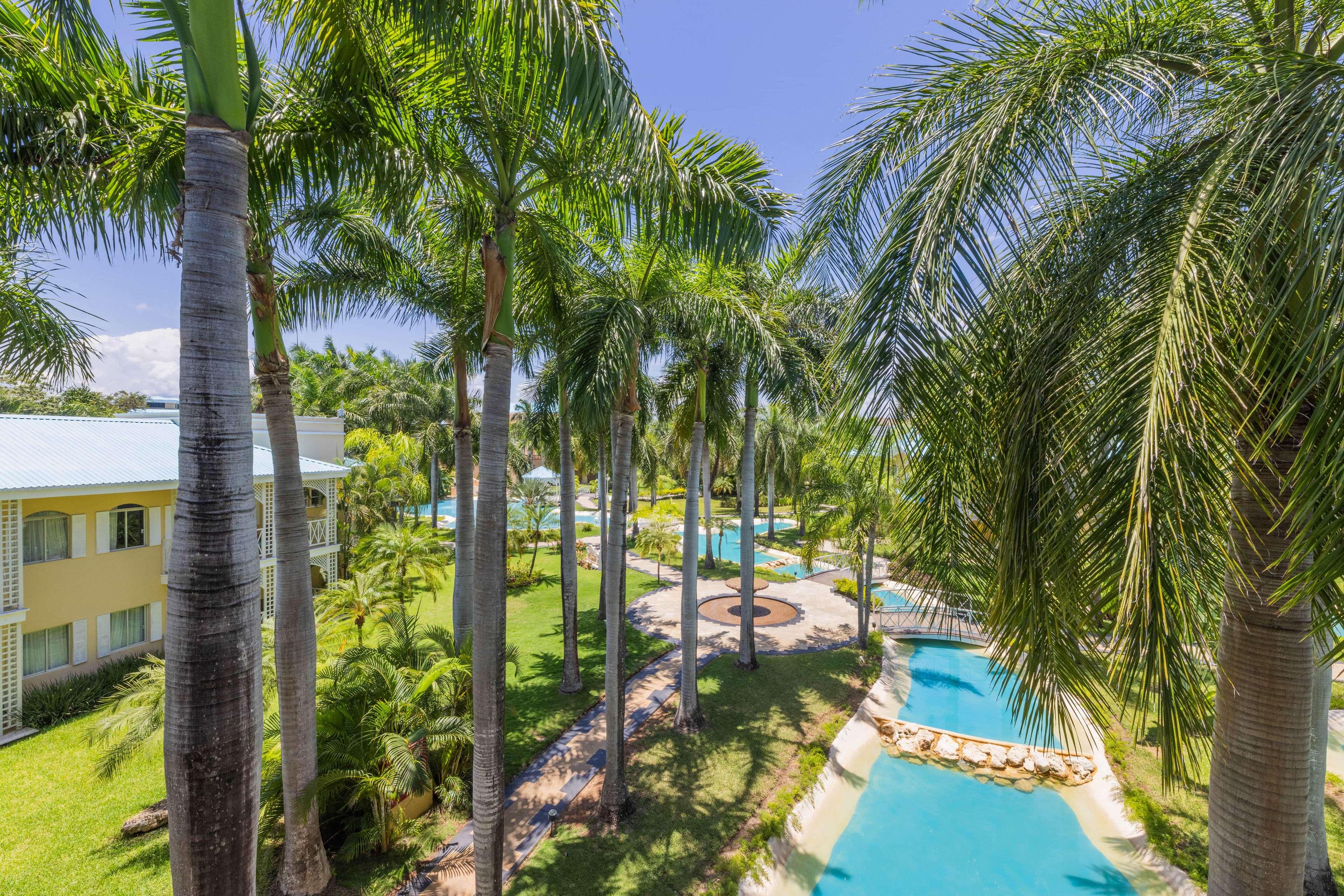 Holidays at Royal Hideaway Playacar Hotel - Adults Only in Playacar, Riviera Maya