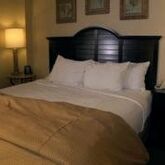 Embassy Suites Deerfield Beach Resort and Spa Picture 8