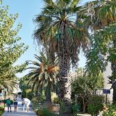 Grecotel Royal Park Picture 16