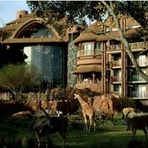 Holidays at Disney's Animal Kingdom Lodge in Disney, Florida