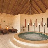 Hyatt Zilara Rose Hall - Adults only Picture 12