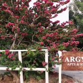 Argyro Studios and Apartments Picture 0