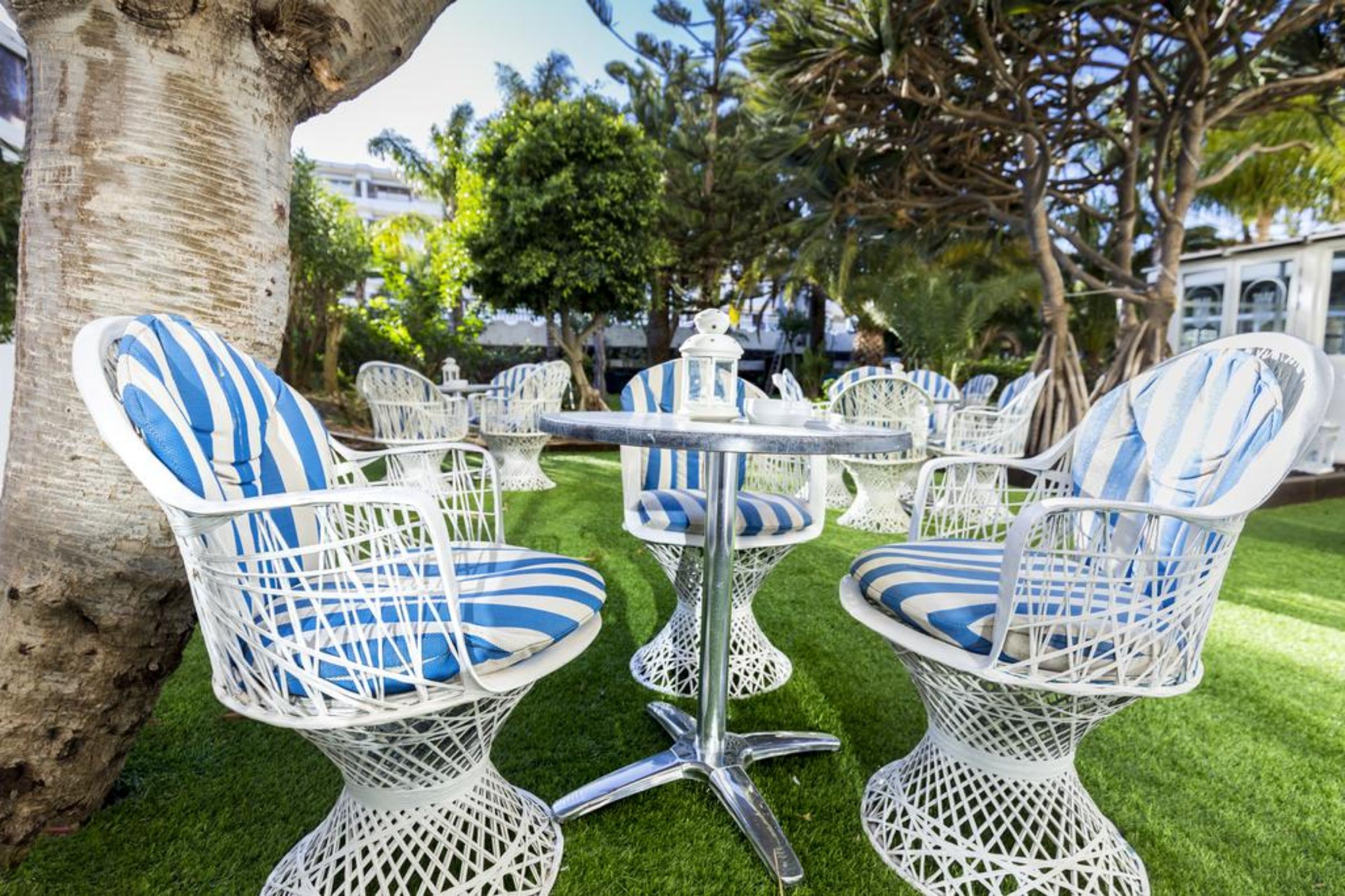 Rey Carlos Suites Hotel Picture 13