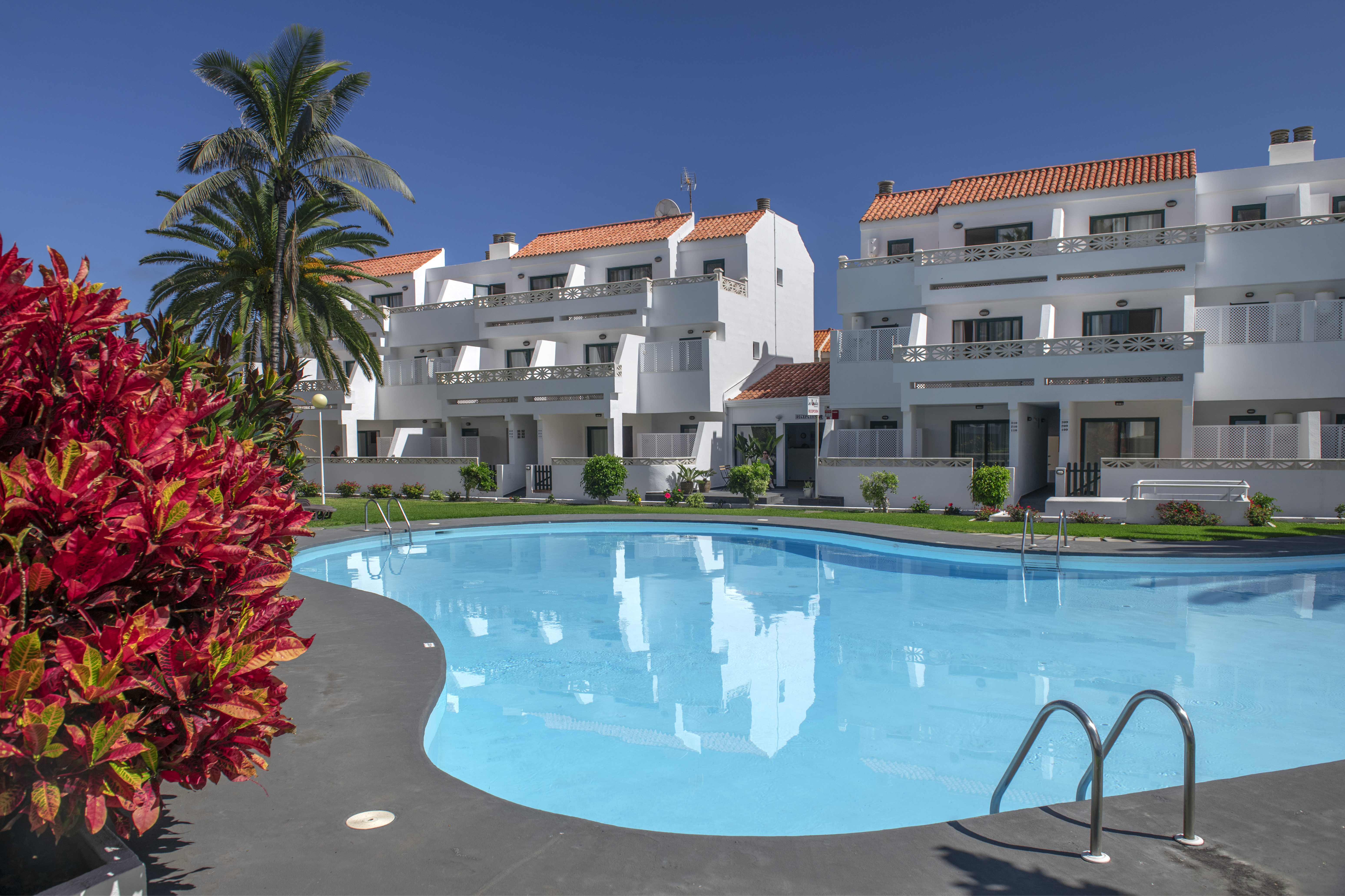 Holidays at Los Rosales Apartments in Playa De Los Cancajos, La Palma