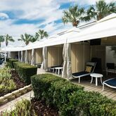 Marriott Suites On Sand Key Picture 15