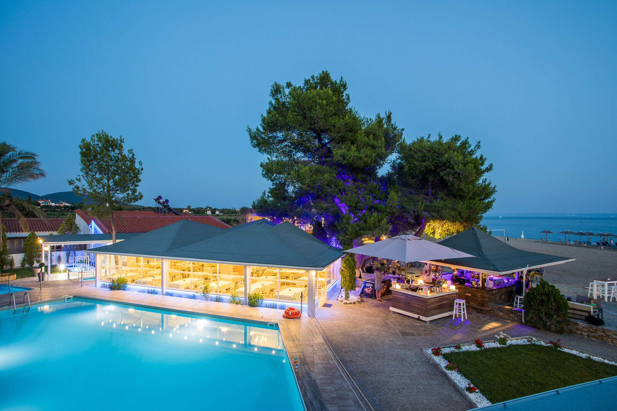 Holidays at Coral Blue Beach Hotel in Gerakini, Halkidiki