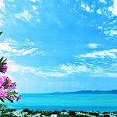 Pefkos Blue Studios Picture 5