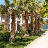 Club Tarhan Serenity Picture 6