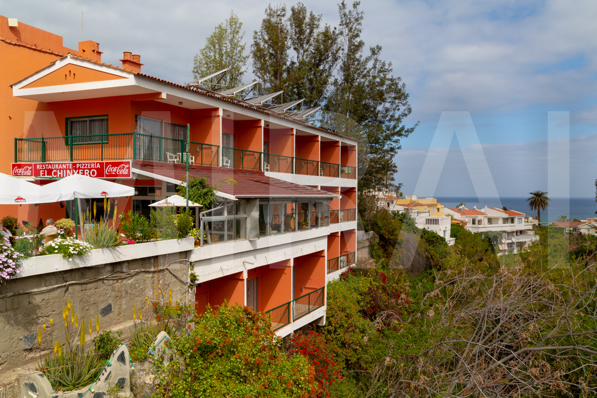 Holidays at Chinyero Apartments in Puerto de la Cruz, Tenerife