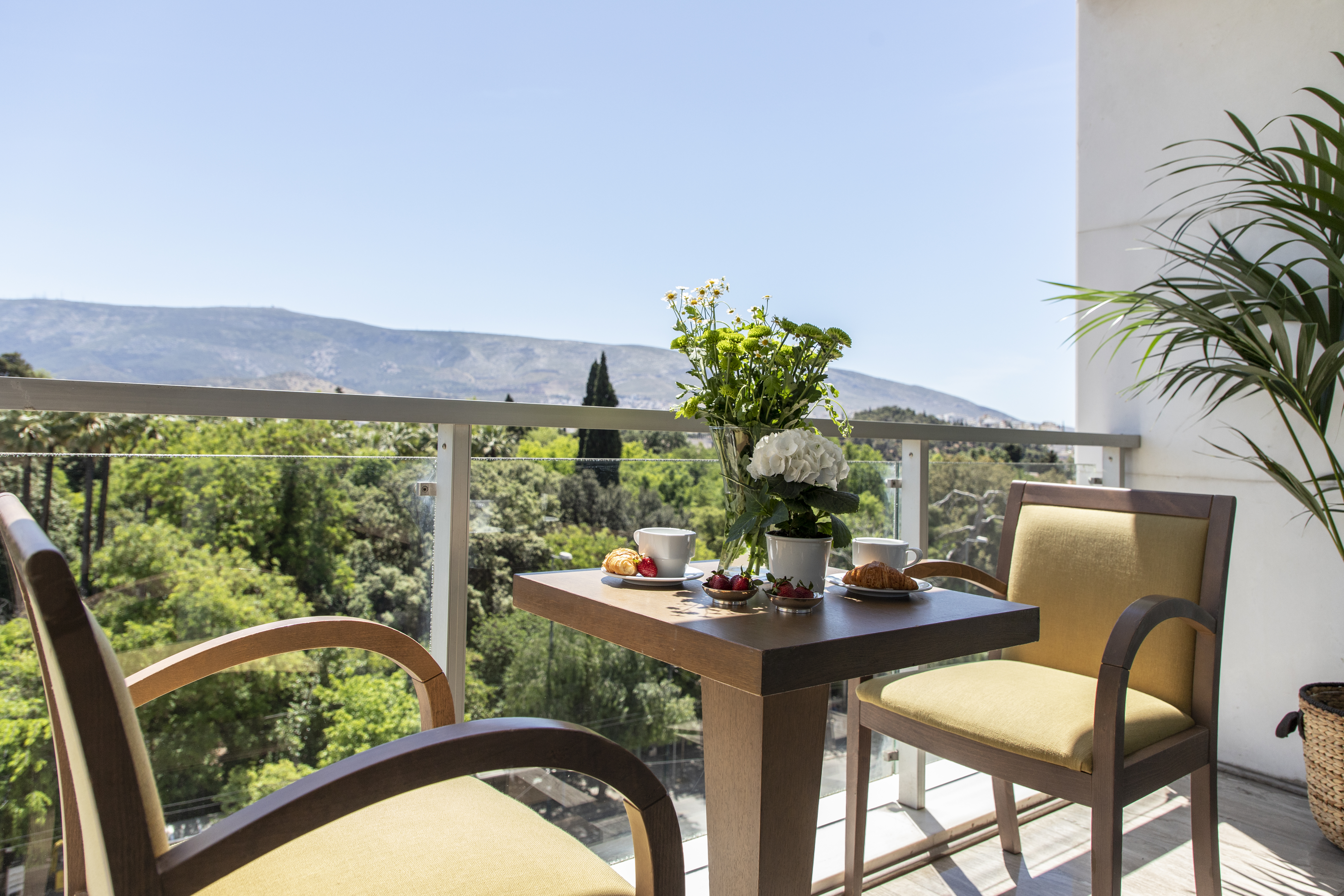 Holidays at Amalia Hotel in Athens, Greece
