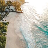Bougainvillea Barbados Picture 8