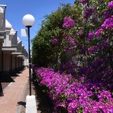 Las Buganvillas Apartments Picture 11