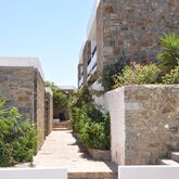 Ariadne Beach Hotel Picture 8