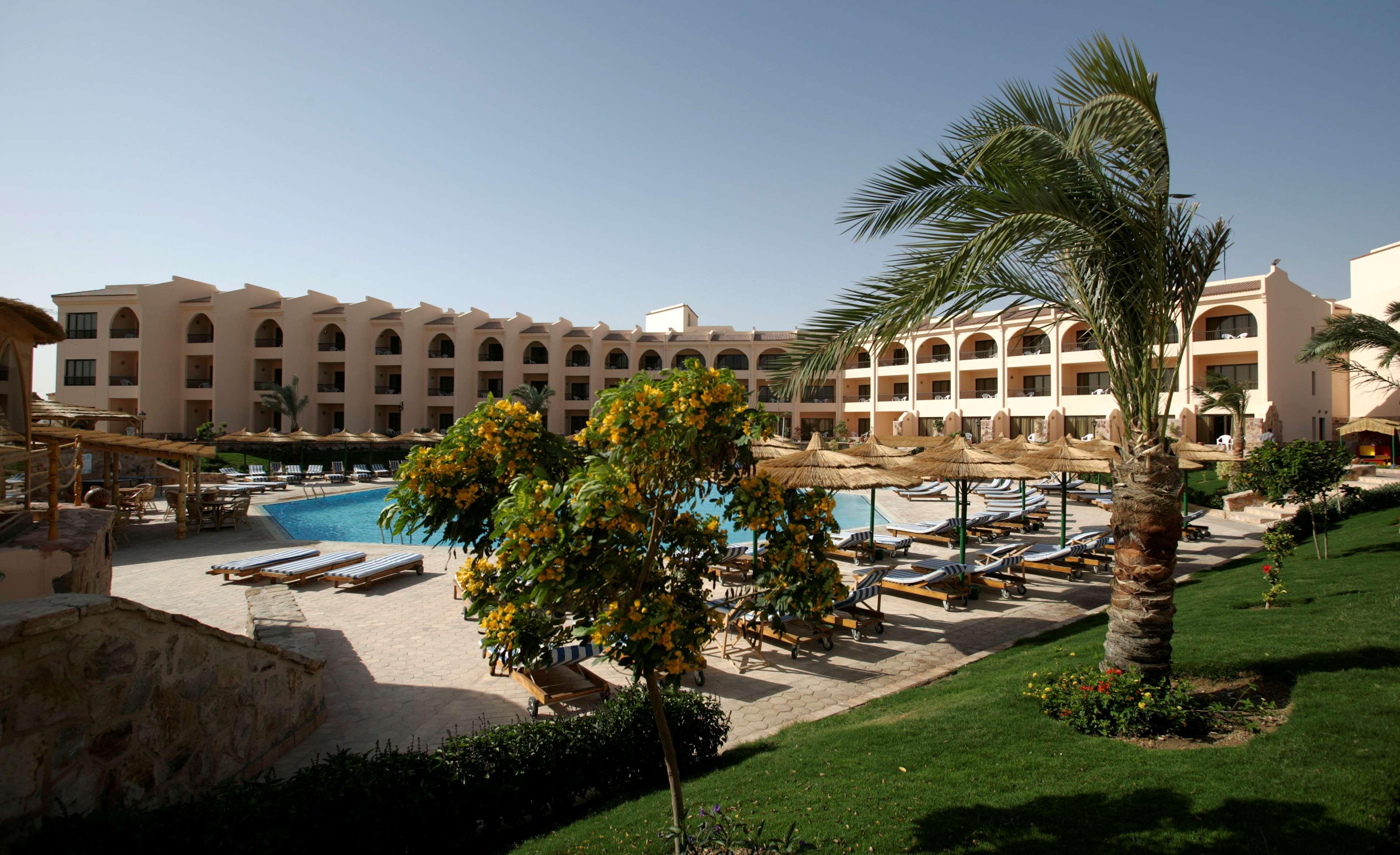 Holidays at Flamenco Beach in El Quseir, Egypt