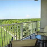 Waldorf Astoria Orlando Hotel Picture 6