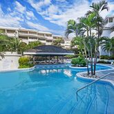 Bougainvillea Barbados Picture 2