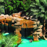 Baron Palms Resort Hotel - Adults Only Picture 6