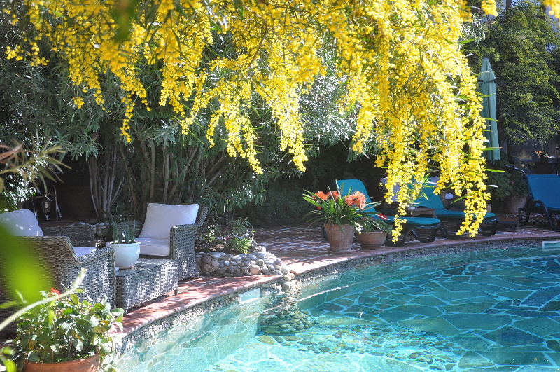 Holidays at El Vino Hotel in Bodrum, Bodrum Region