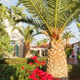 Cretan Garden Hotel Picture 3