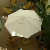 Mediterraneo Apartments Picture 7