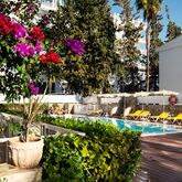 Montemayor Apartments Picture 6