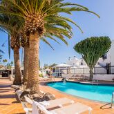 Los Tulipanes Apartments Picture 6