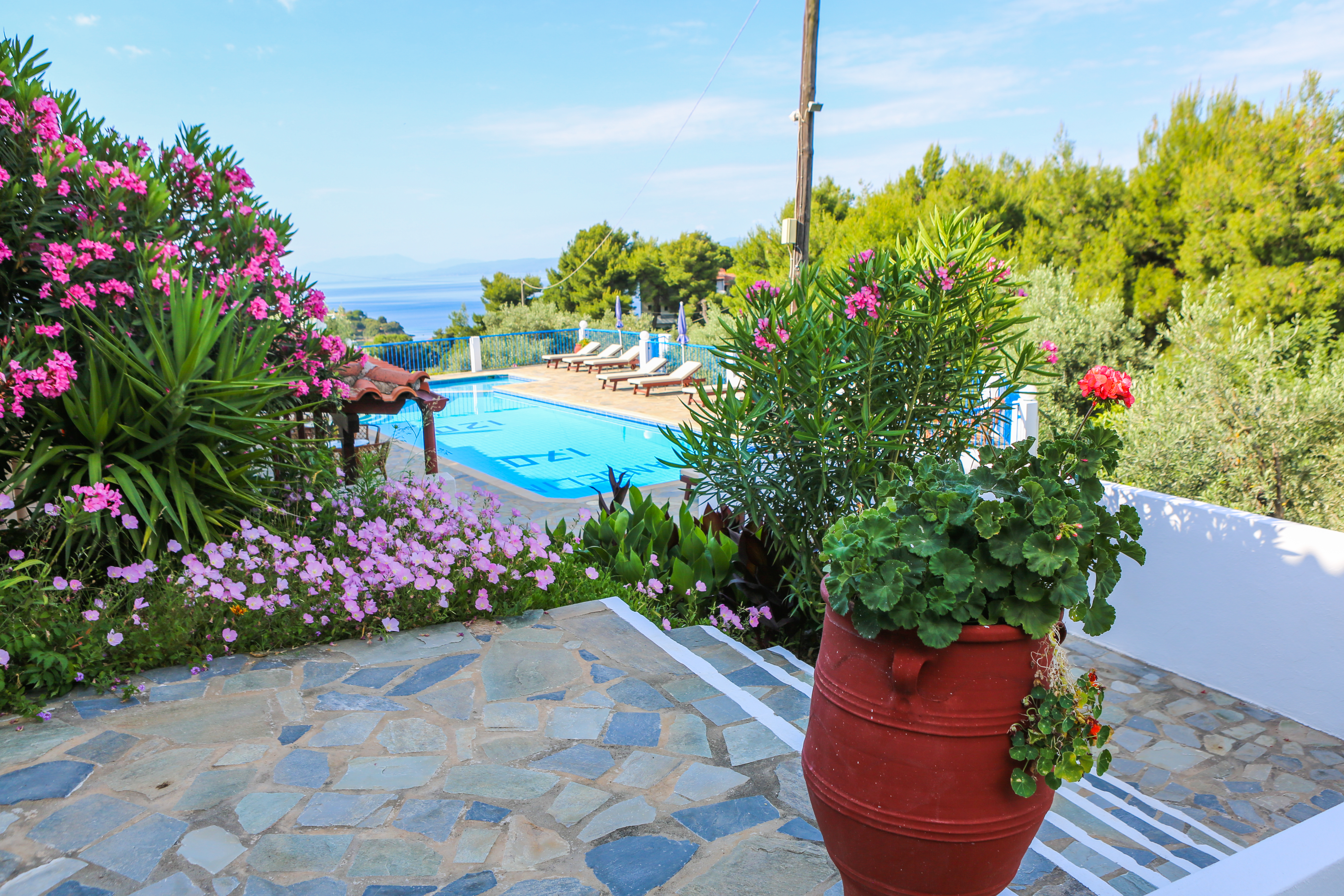Holidays at Angelina Studios in Kolios Beach, Skiathos