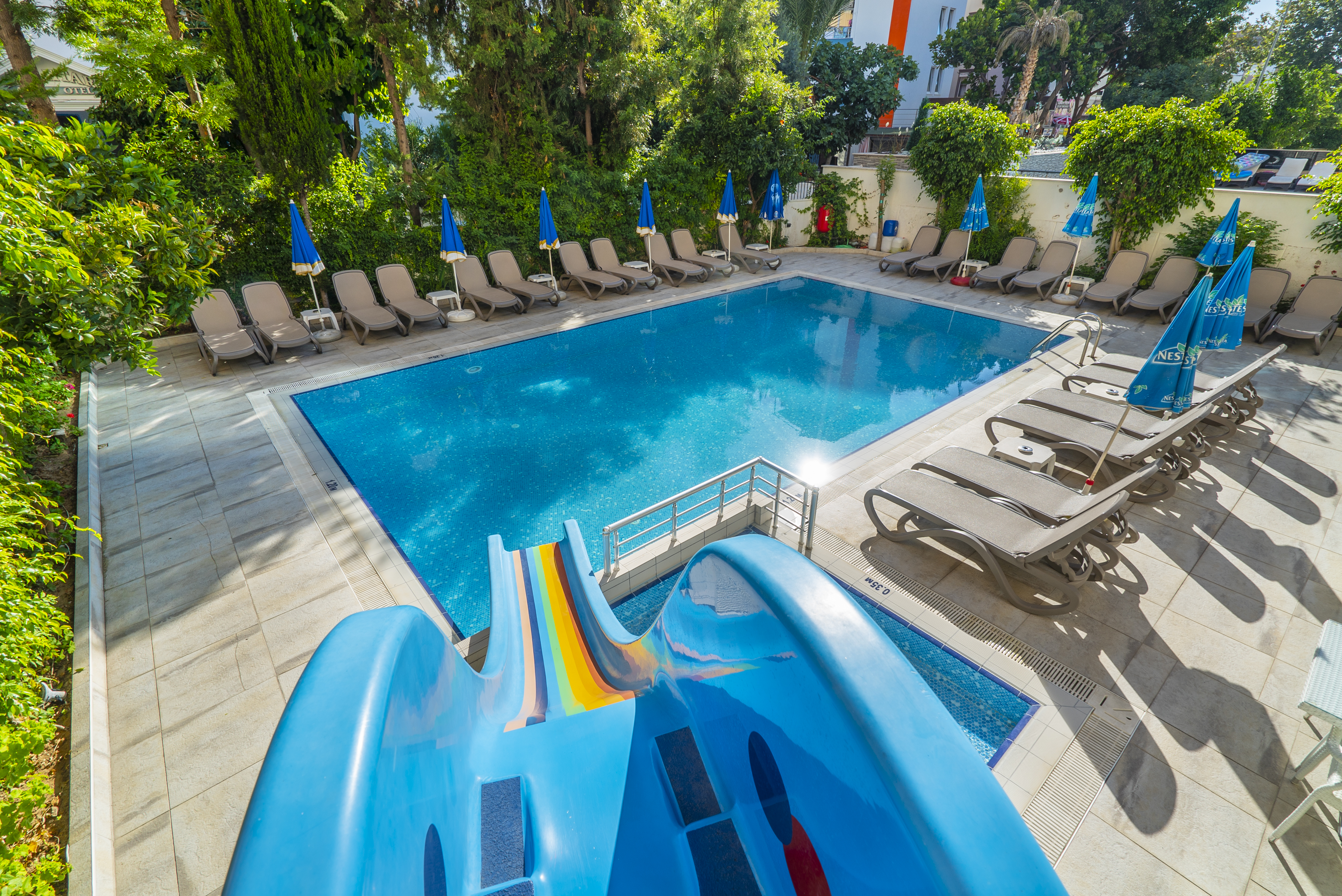 Holidays at Kleopatra Celine Hotel in Alanya, Antalya Region
