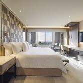 Occidental El Embajador Hotel Picture 6