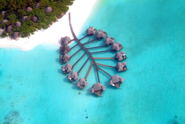 Holidays at Coco Palm Dhuni Kolhu Hotel in Maldives, Maldives