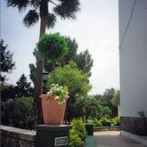 Niu D'Aus Apartments Picture 13